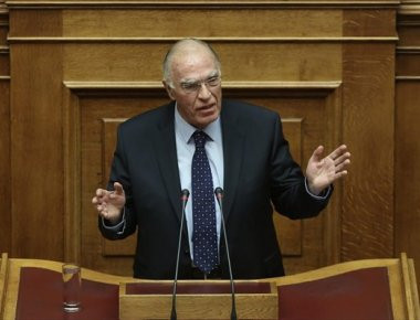 Β. Λεβέντης: «Άμεση διερεύνηση των λόγων παραίτησης της κας Ράικου»